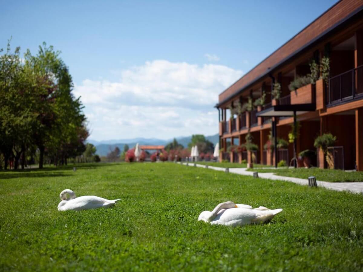 „ლოპოტა სპა რეზორტი“ – შვიდი ოთახიდან დაწყებული ისტორია