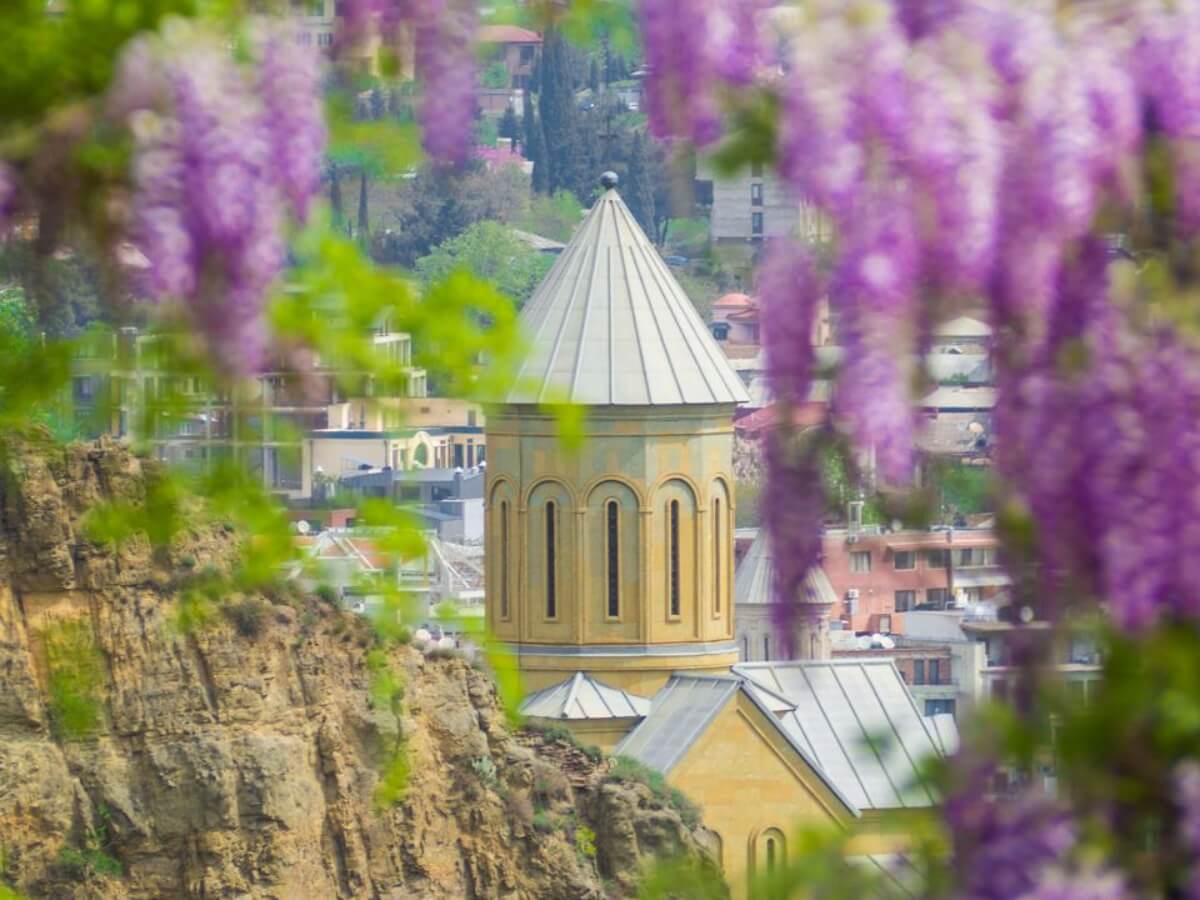 თბილისური გაზაფხული – kalaki.ge-ს ფოტორეპორტაჟი დედაქალაქის ბოტანიკური ბაღიდან სადაც წელიწადის ეს დრო ყველაზე ლამაზია