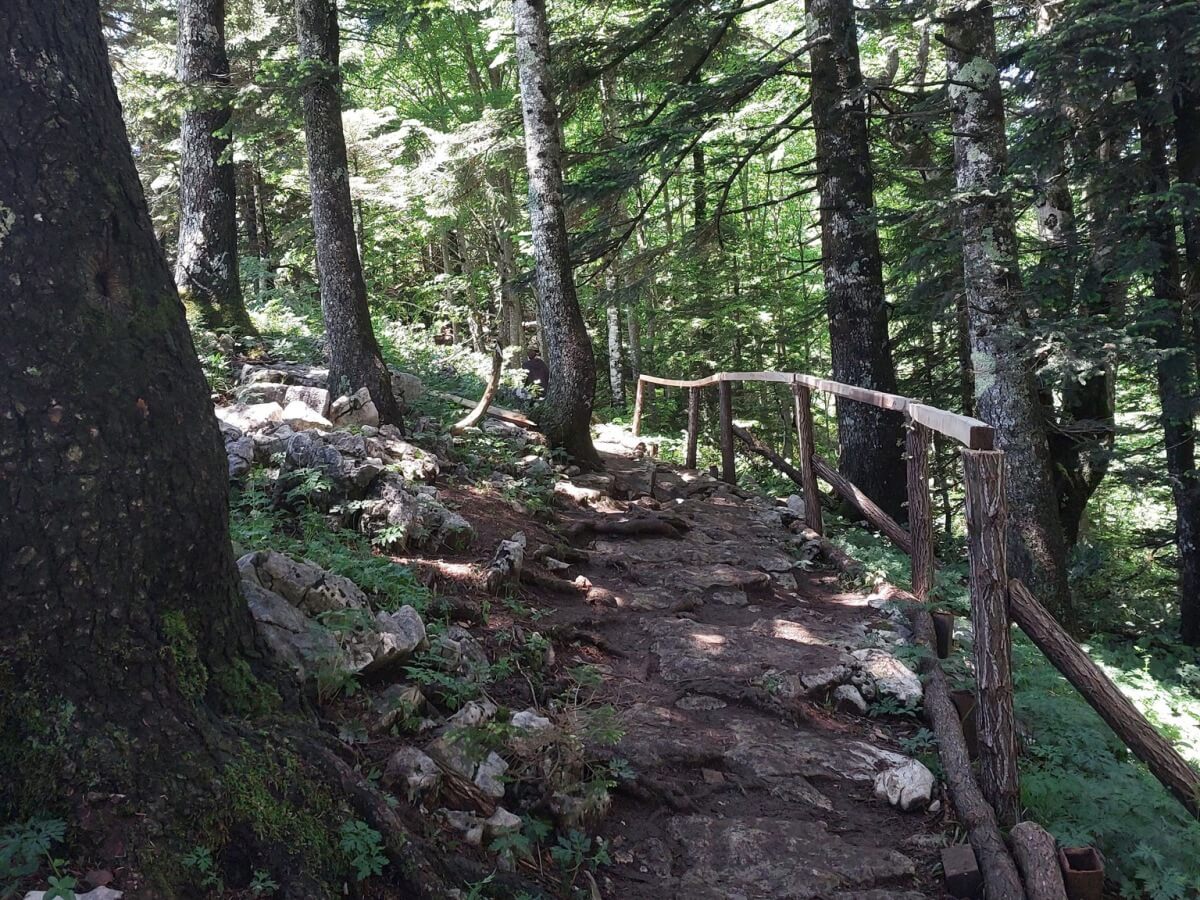 იქ, სადაც ფეხით ცაში ადიხარ – ერთი ჩვეულებრივი დღის არაჩვეულებრივი ემოცია