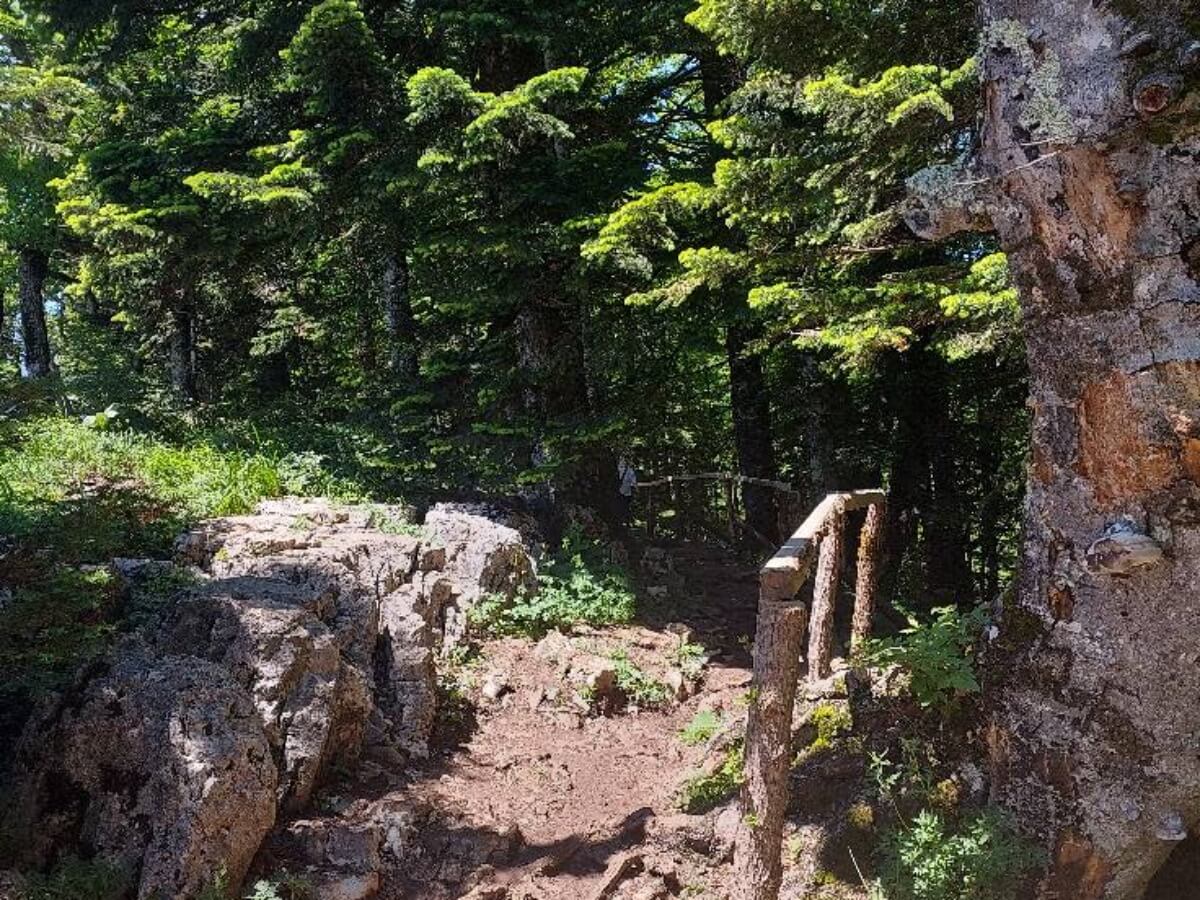 იქ, სადაც ფეხით ცაში ადიხარ – ერთი ჩვეულებრივი დღის არაჩვეულებრივი ემოცია