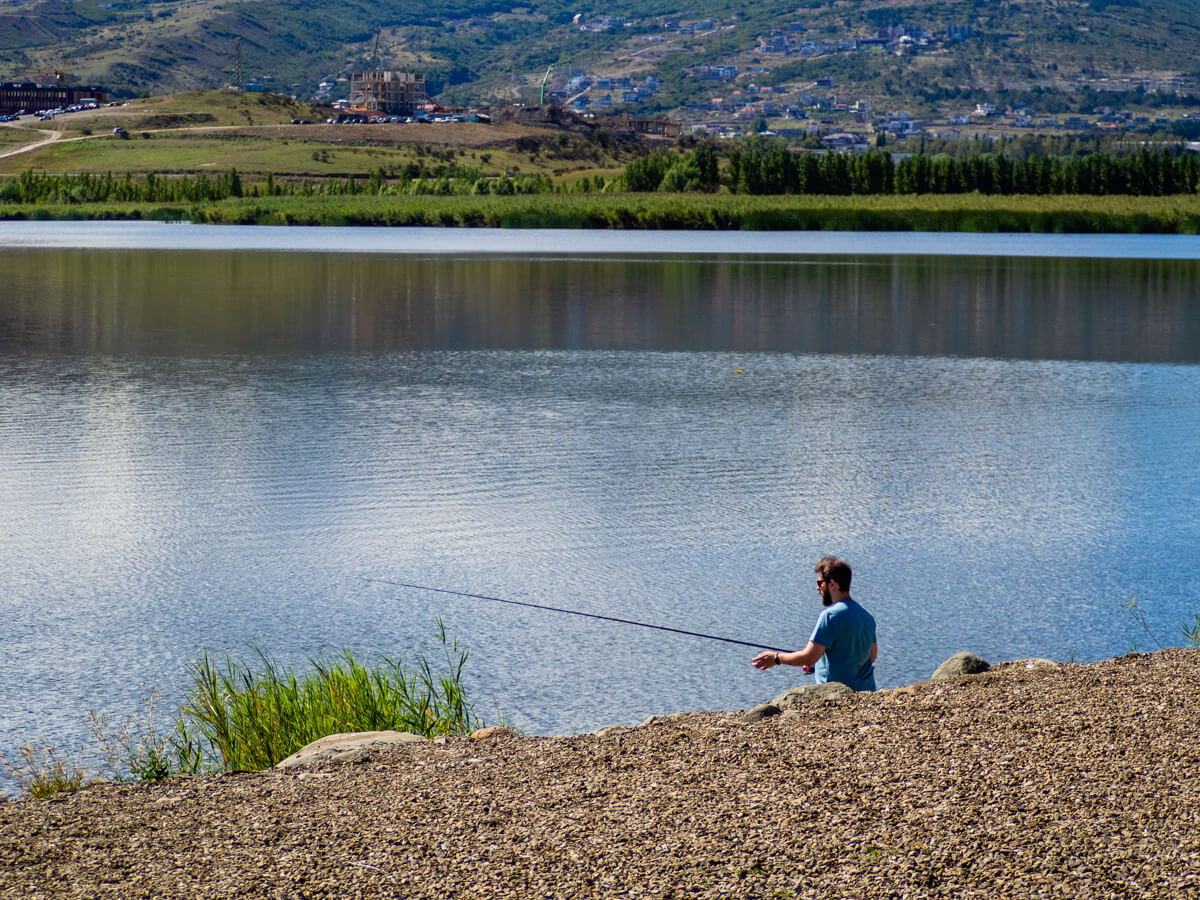 Suburban Projects – დაბალი ინტენსივობის საცხოვრებელი პროექტების სერია Colliers-ისგან