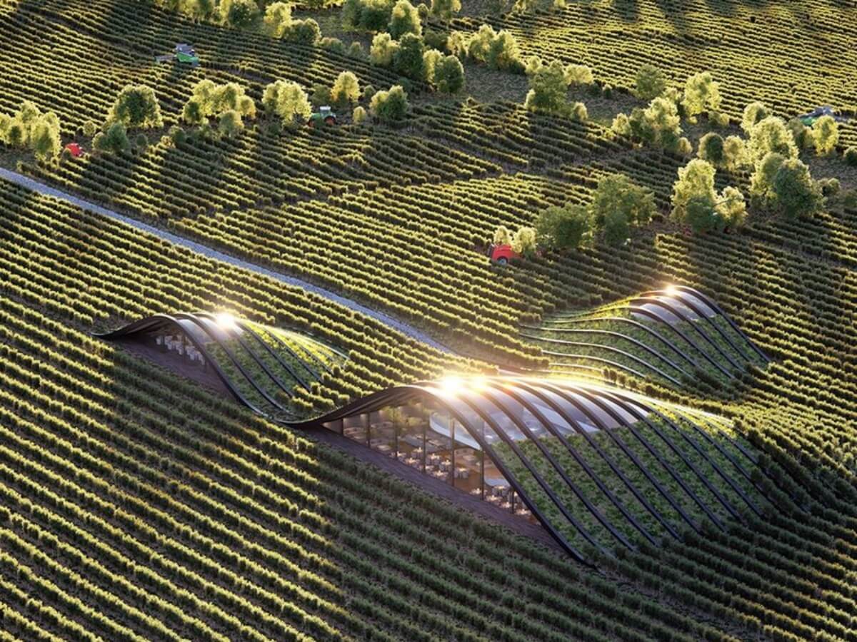 განადგურებული მწვანე საფარი და მწვანე ელემენტები შენობების ფასადებზე – რა ხრიკებს მიმართავენ დეველოპერები