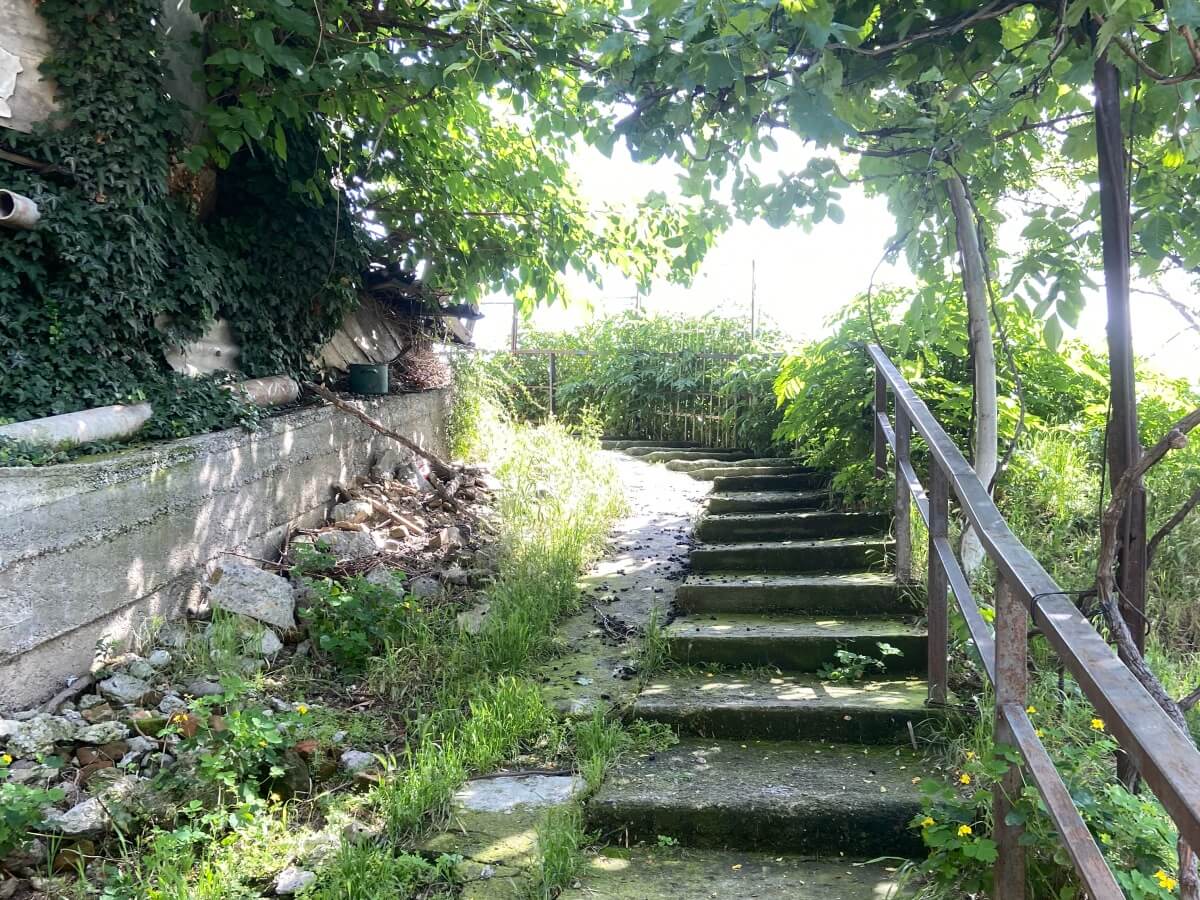 დაკარგული განძის ძიებაში