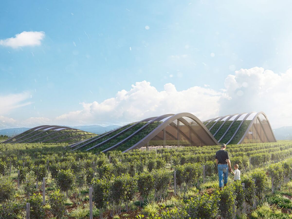 განადგურებული მწვანე საფარი და მწვანე ელემენტები შენობების ფასადებზე – რა ხრიკებს მიმართავენ დეველოპერები