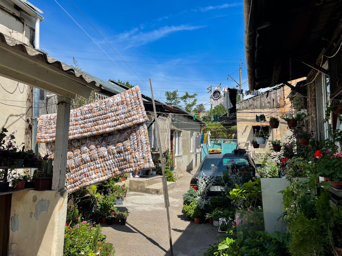 დაკარგული განძის ძიებაში