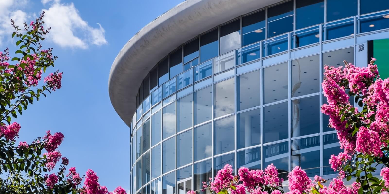 ფილარმონია – თბილისის სავიზიტო ბარათი და მასზე მასშტაბური “ივენთჰოლის” მშენებლობა საბურთალოზე