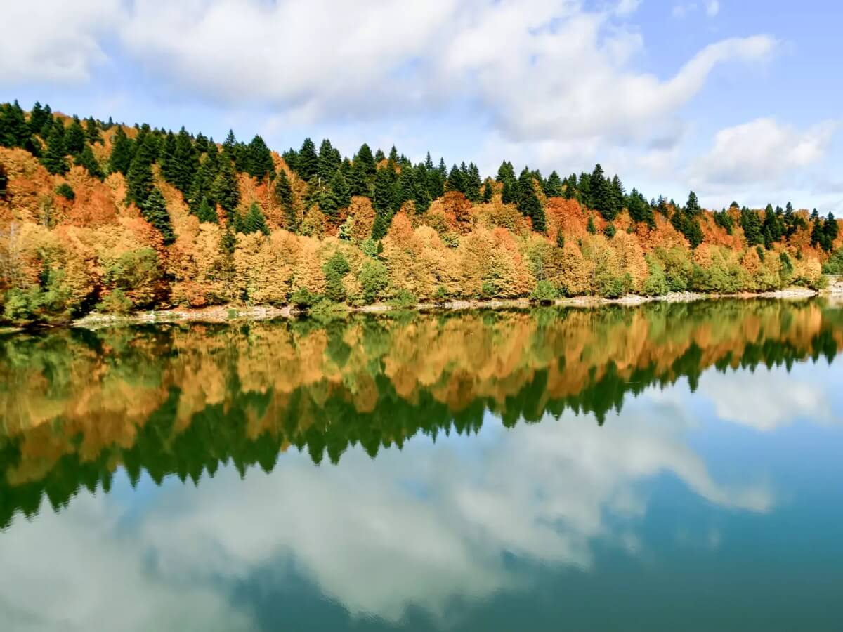 თუ გინდა ზღაპრის გმირობა, გამომყევი ნიკორწმინდაში