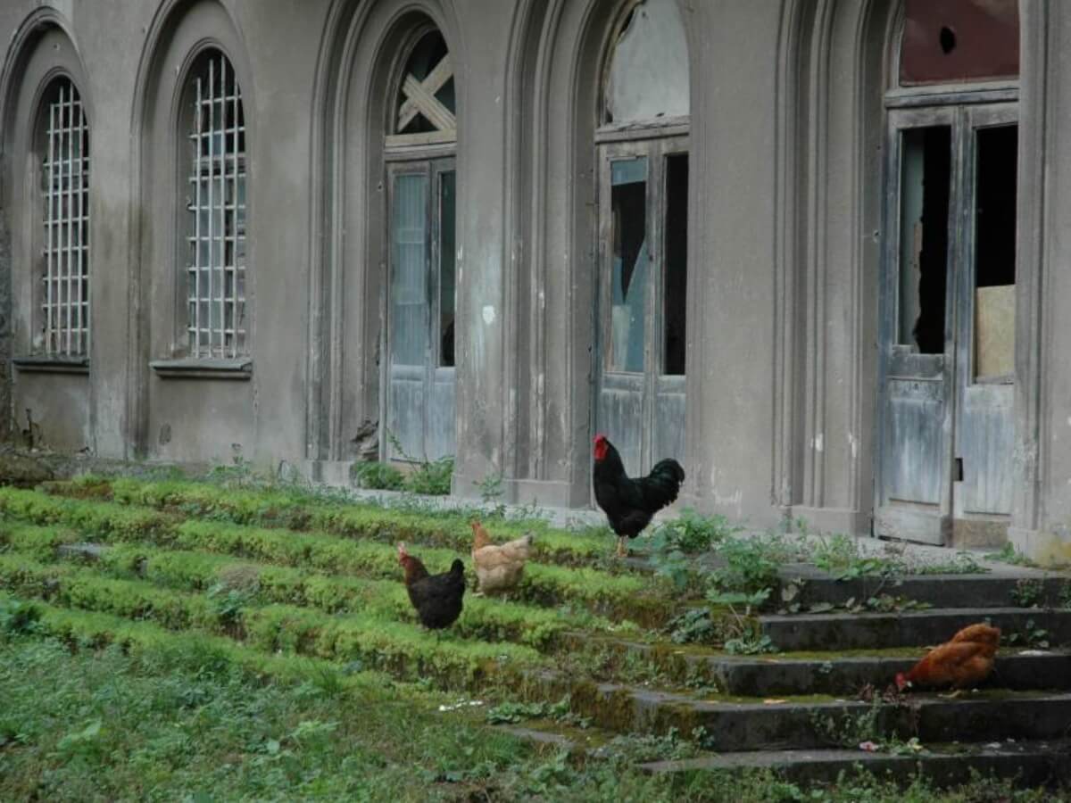 ერთ დროს დიდებული და ხალხმრავალი წყალტუბოს სანატორიუმები ახალი სიცოცხლის მოლოდინში