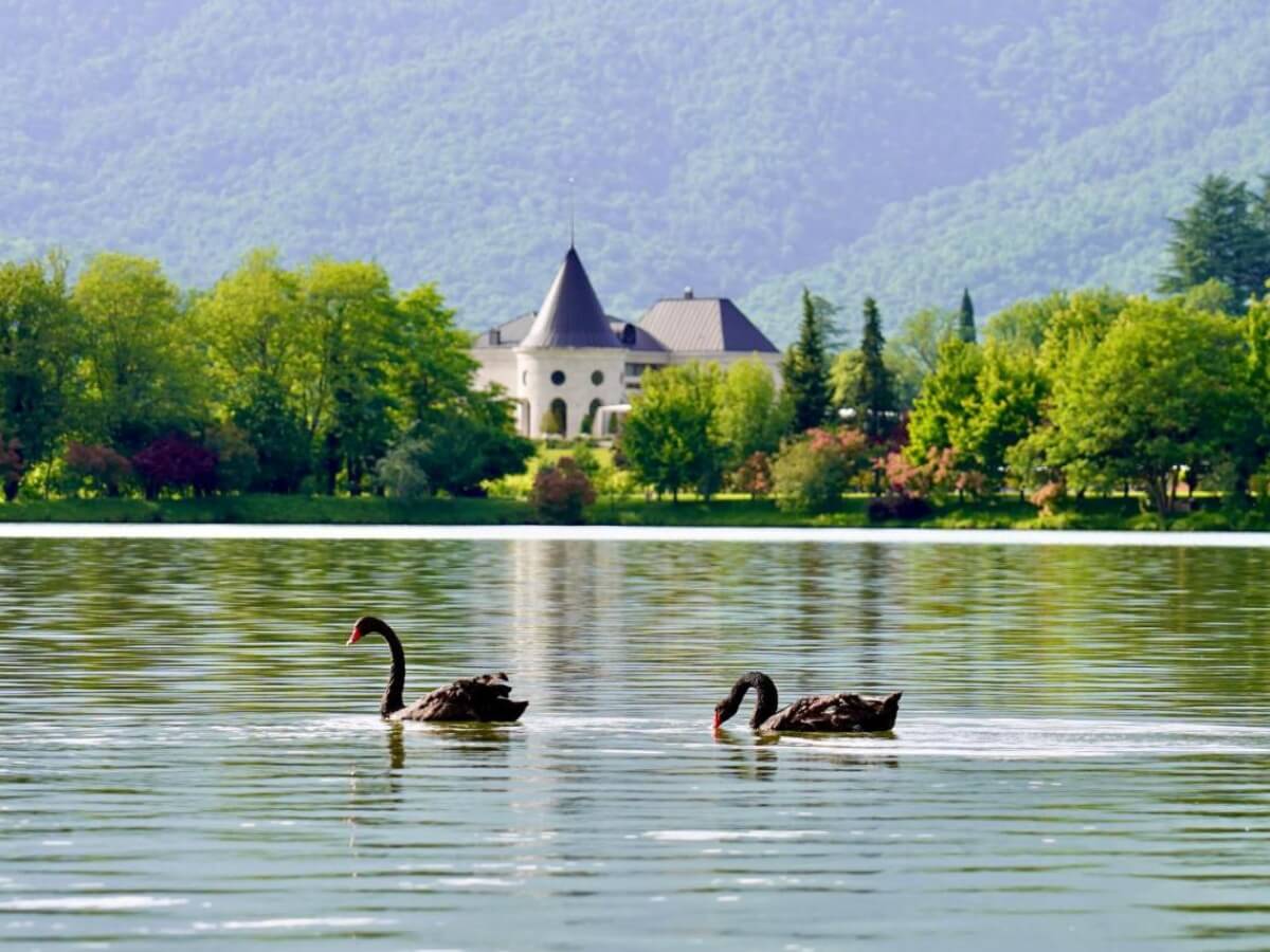 რა ღირს დასვენება ზღვისა და მთის კურორტებზე ყველაზე ძვირადღირებულ და ბიუჯეტურ სასტუმროებში