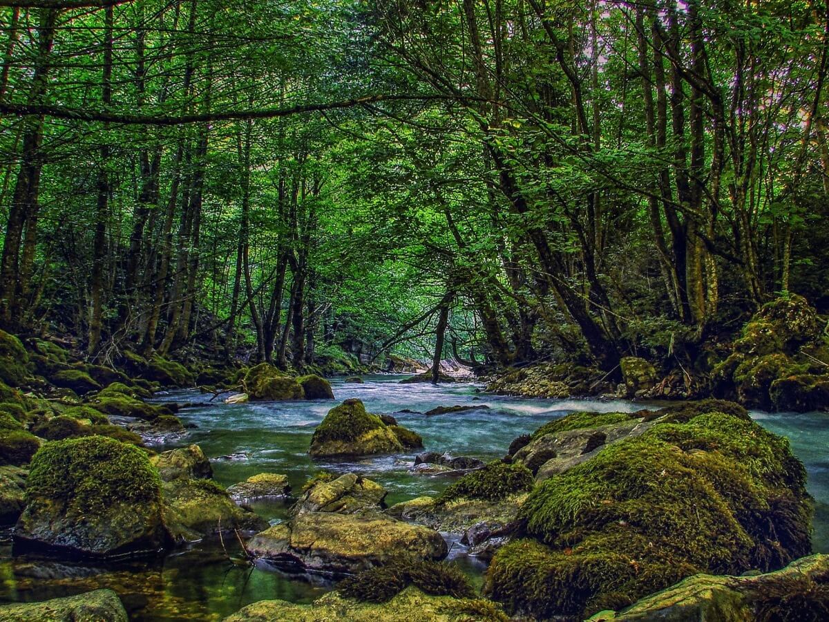 თუ გინდა ზღაპრის გმირობა, გამომყევი ნიკორწმინდაში