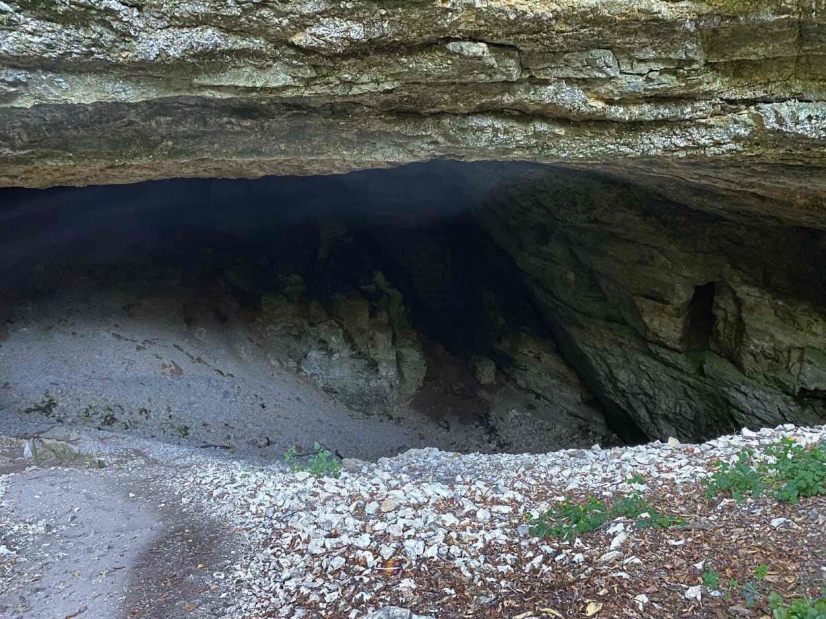 თუ გინდა ზღაპრის გმირობა, გამომყევი ნიკორწმინდაში