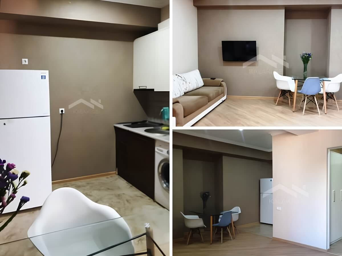 ქირავდება 5 ბინა, სადაც შეიძლება ცხოვრება შინაურ ცხოველებთან ერთად